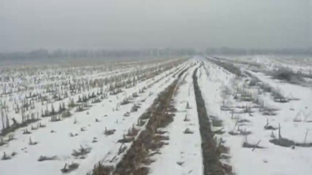 золотари,гомновозы,фирма круг