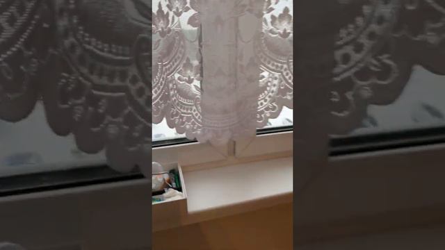 Продажа квартиры Сургут смотреть онлайн