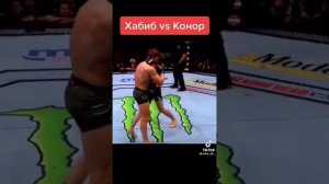 бокс хабиб против