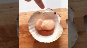 КАК Я ЗАПЕКАЛ МОРСКОЙ ГРЕБЕШОК В РАКУШКЕ???