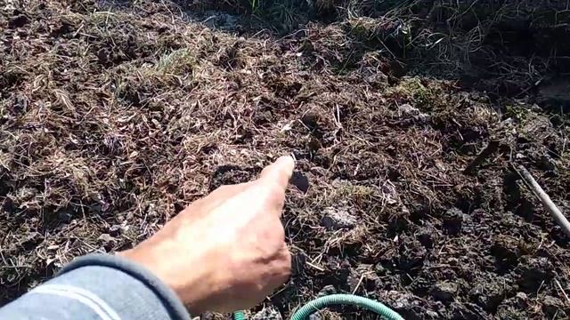 Что бы твёрдая земля весной была рыхлая смотреть онлайн