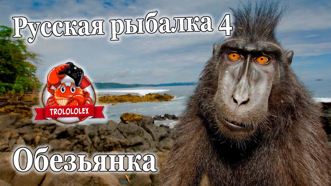Русская рыбалка 4. Стрим. Ловлю на обезьянку смотреть онлайн
