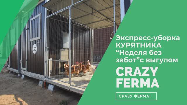 🧹Экспресс-уборка Курятника _Неделя без забот_ с выгулом 1 раз в 7 дней! (2)