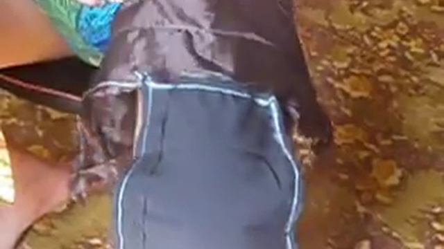 Отпугиватель птиц на подсолнухе смотреть онлайн