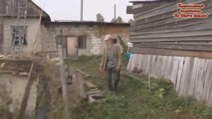 Рыжая кошка. Битва за территорию у дома Володи Потеряевка 2019 Игнатий Лапкин