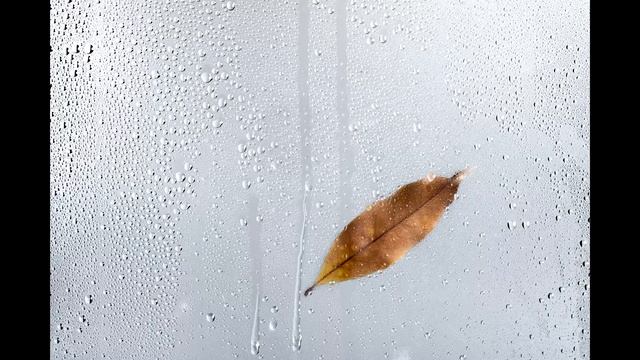 Приятные звуки для сна. Уснете за пару минт. Звуки дождя смотреть онлайн