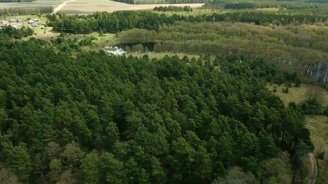 р.Неман близ д.Новоселки. Мостовской р-н. Гродненская обл.
