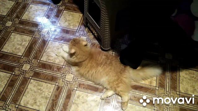 МУЖА НУЖНО ОТКАРМЛИВАТЬ!//ТУРОПЕРАТОР НАС РАЗВОДИТ? 😲 смотреть онлайн