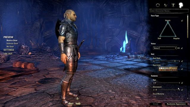 Elder Scrolls Online Character Creation Apple Macbook Pro Retina 2013