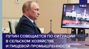 Путин проводит совещание по ситуации в сельском хозяйстве и пищевой промышленности
