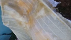 Стелс своими руками на solaris 2017