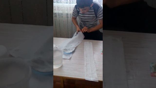 Сажаем томаты в улитку 2 смотреть онлайн