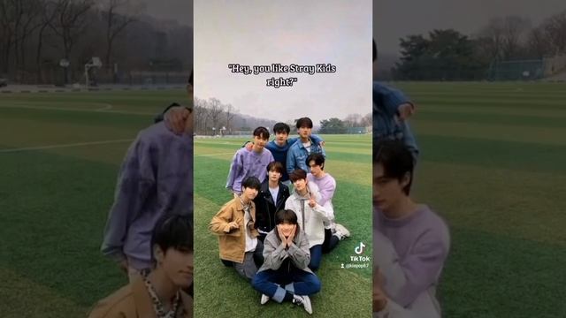 Stray Kids смотреть онлайн