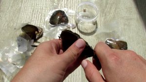 ? Ищу ЖЕМЧУГ в Маленьких УСТРИЦАХ! Нашла Настоящие ЖЕМЧУЖИНЫ В РАКУШКЕ С ALIEXPRESS!