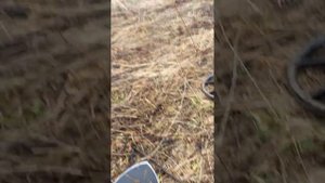 Первое серебро ) коп с нокта макро легенд , и симплекс