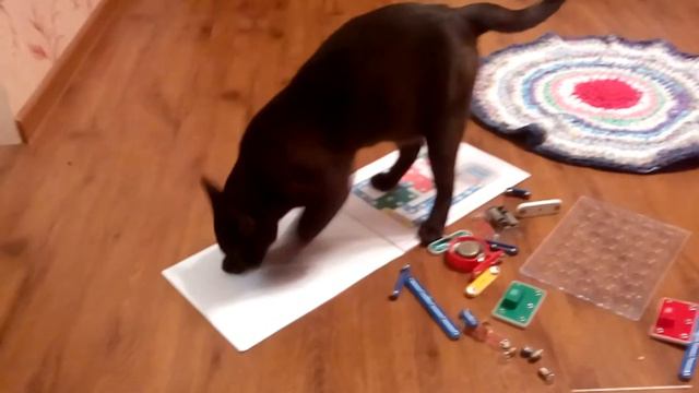 Бурма мальчик 1 год смотреть онлайн