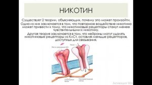 ТАБАЧНАЯ ЗАВИСИМОСТЬ. НИКОТИН. ОТКАЗ ОТ КУРЕНИЯ.