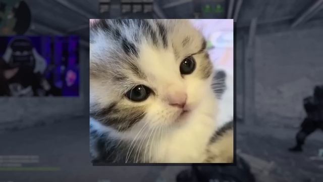 Мой ПЕРВЫЙ РАЗ в COUNTER STRIKE 2 (CS:GO) смотреть онлайн