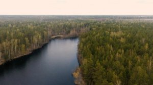 Озеро Рассохи с высоты. Южский район. Ивановская область. 4К