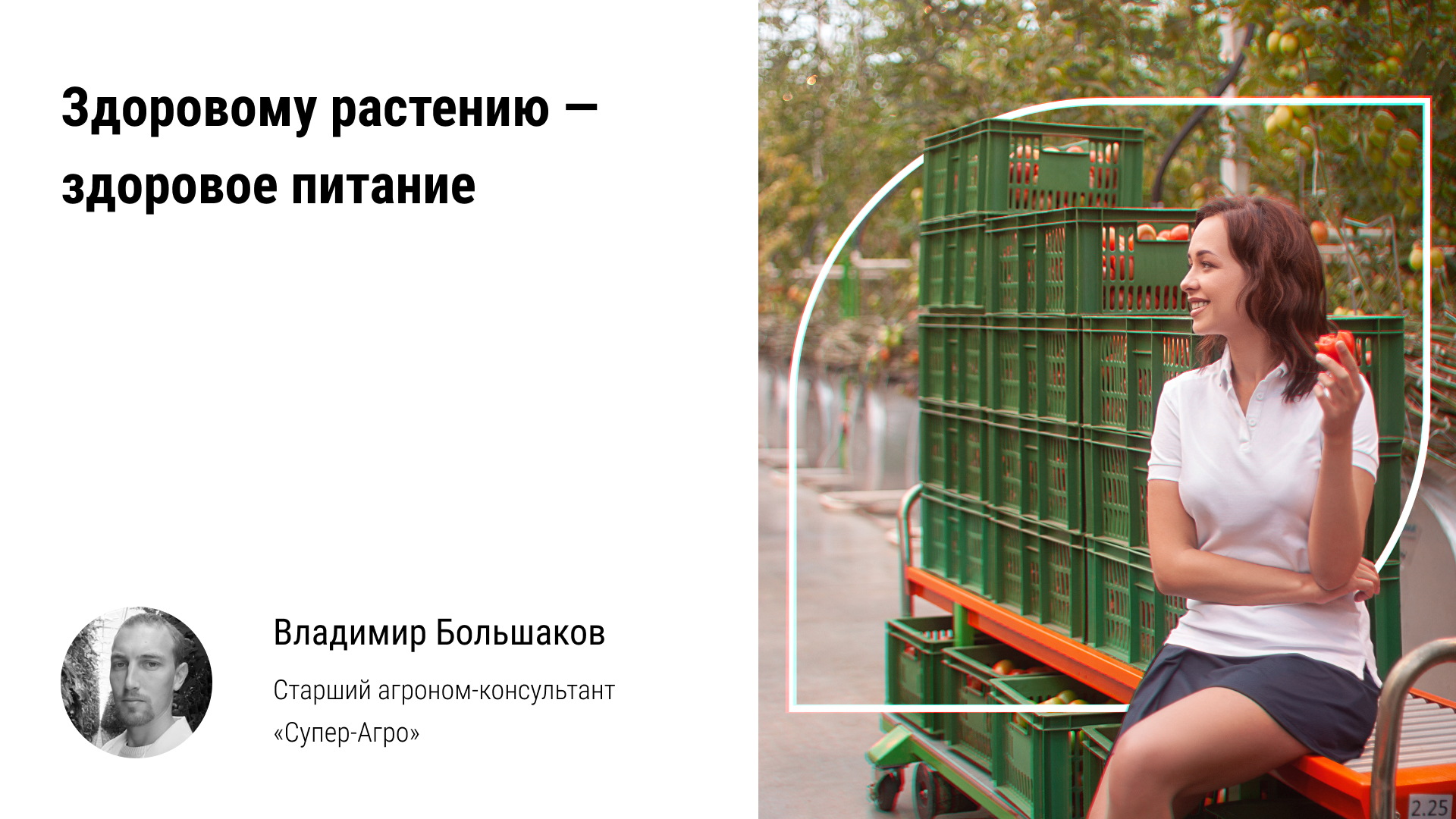 ? Здоровому растению — здоровое питание! Состав, уровни питания огурца, томата, земляники в теплице смотреть онлайн