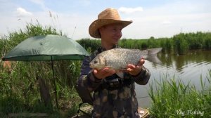 КРУПНЫЕ КАРАСИ НА ПОПЛАВОЧНУЮ УДОЧКУ, РЫБАЛКА 2020