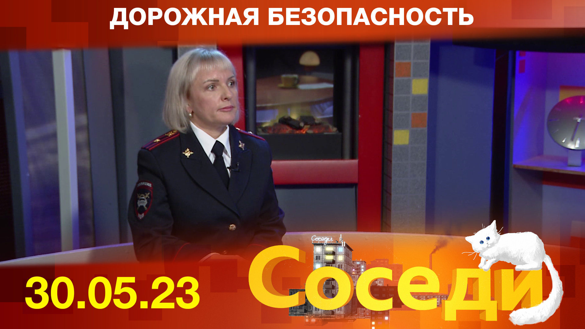 Дорожная безопасность. Соседи