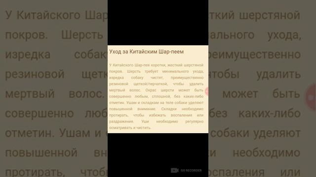 Порода шарпей смотреть онлайн