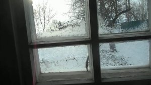 Чарльз Буковски " Иди до конца"