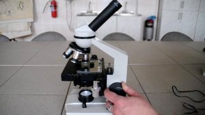 Практикум по микробиологии. Введение. Микроскопирование. Препарат и простая окраска