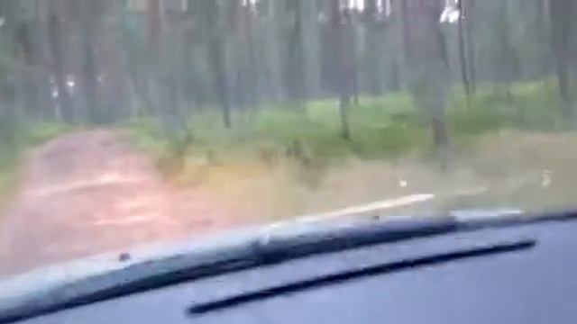 Вальсирую в лесу смотреть онлайн