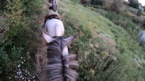 КОННАЯ ПРОГУЛКА В ПОЛЯ от первого лица / Галоп В ПОЛЯХ / Vlog / Go Pro