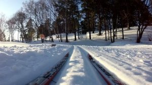 Техника конькового хода: Двухшажный подъемный коньковый ход