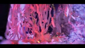 Бумажная дискотека