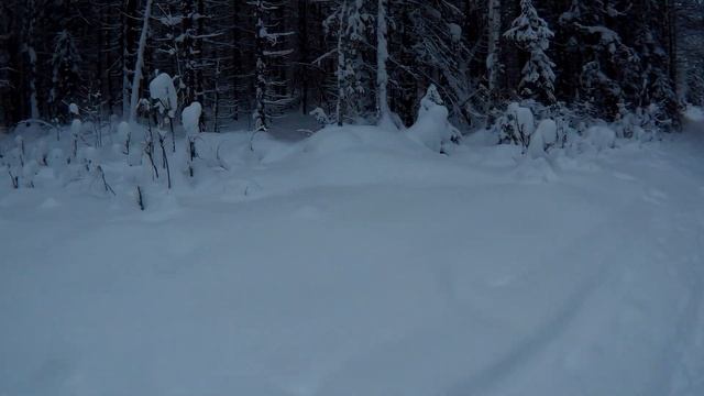 ХАСКИ. ЧУСОВАЯ. КАМЕНЬ ОМУТНОЙ. смотреть онлайн