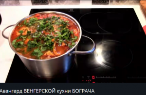 Авангард ВЕНГЕРСКОЙ кухни БОГРАЧА