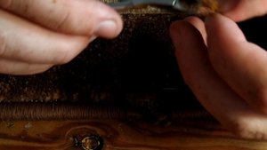 Как восстановить прожженный ковер. carpet restoration after burning.