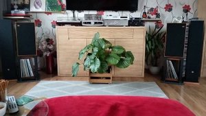 Yaqin MS90b/ Wharfedale Linton 85/ Topping E70 Velvet.