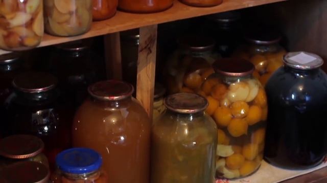 How to survive after SHTF in an urban or suburban environment