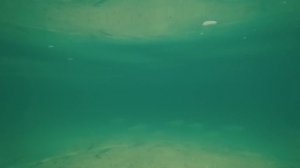 Тайланд Экскурсия по островам Краби 2020 год.