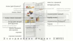 Холодильник АТЛАНТ ХМ 6021