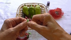Лучший способ завязать перец на ниточке для сушки.