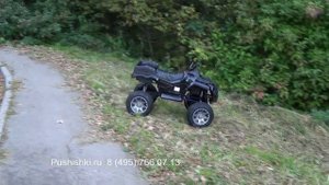 Купить детский квадроцикл полный привод Barty Т009МР на pushishki.ru