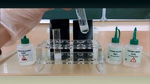 8 класс. Химия. Химические свойства оснований (щёлочи+соли)