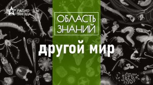 Каких существ невозможно увидеть без подготовки? Лекция биолога Александра Семёнова