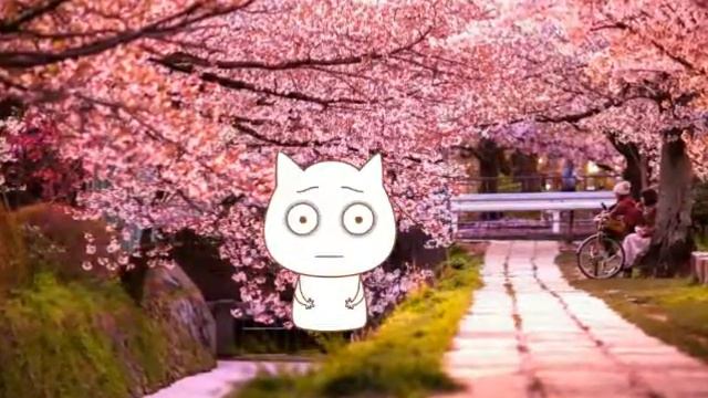 Котёнок End о себе.- Анна End. Мультфильм. смотреть онлайн