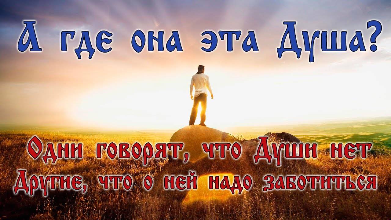 Свет души. О красоте. Юная душа это. Девочка с полевыми цветами. Девушка тишина.