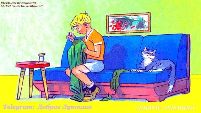 Заплатка  — Рассказ | Николай Носов | Рассказы Носова с картинками | Рассказы на ночь