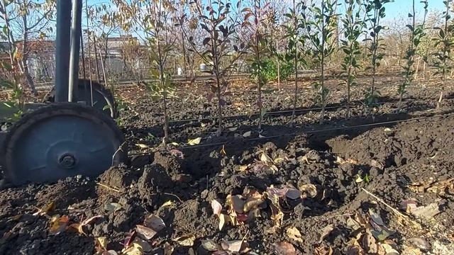 Лебёдка Для Выпахивания Саженцев // BakhPlants
