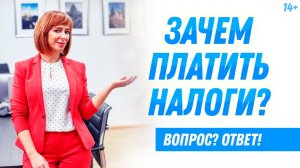 Зачем платить налоги? Как работает налоговая система России? Светлана Толкачева