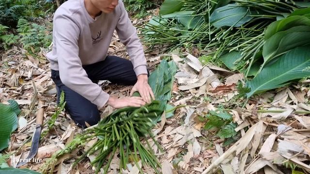 Complete the pig house, harvest dong leaves, cabbage, bring to the market to sell смотреть онлайн